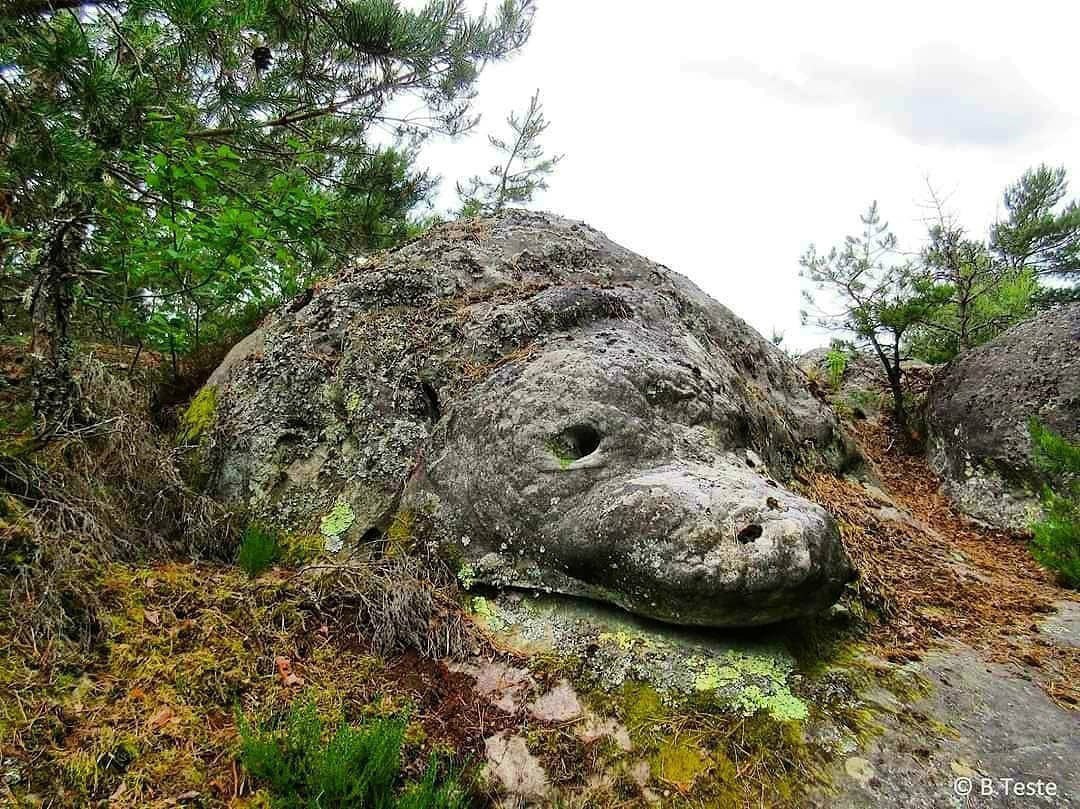 Toshga aylangan Gigantlar