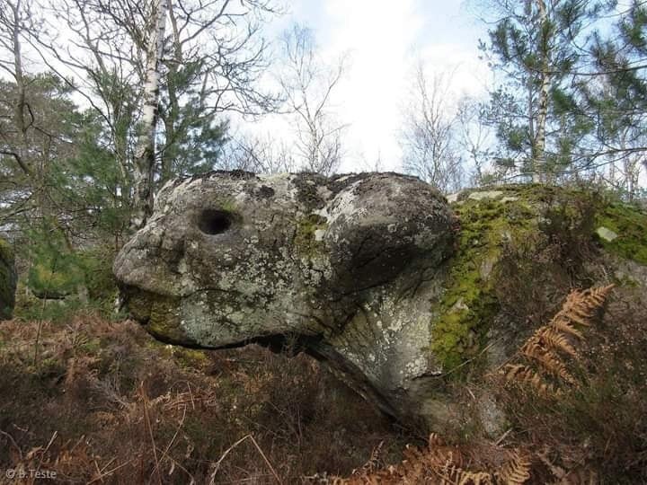 Toshga aylangan Gigantlar