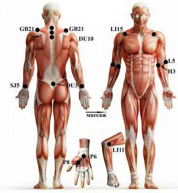 Boallar va ayollar uchun hijoma davolash